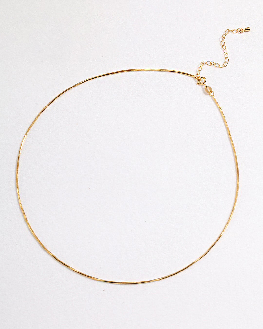 Thin Snake Chain Necklace